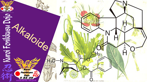 060 - Inhaltsstoffe 05 - Alkaloide
