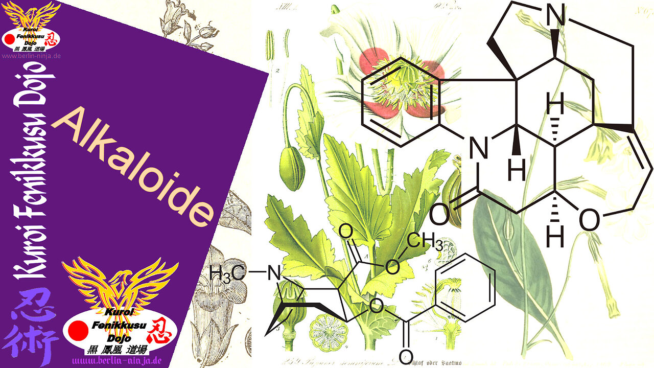 060 - Inhaltsstoffe 05 - Alkaloide