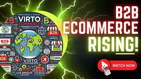 E497:📦B2B ECOMMERCE RISING!