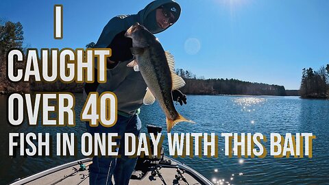Catch 100x More Bass With this Winter Bait