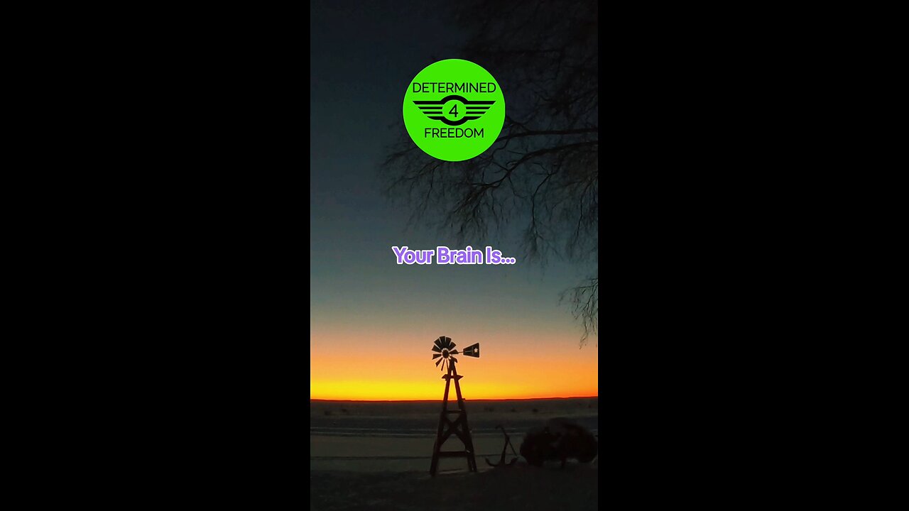 Your Brain Is...