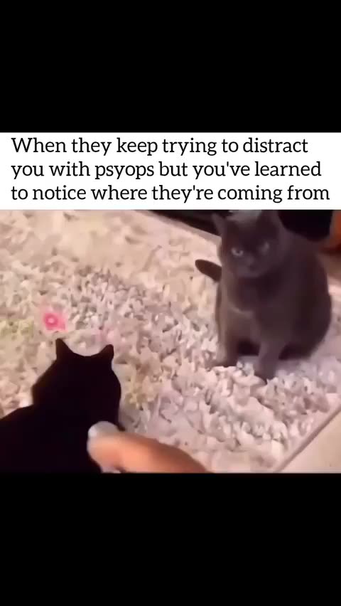 Once you notice, you can't un-notice