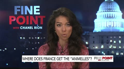 Fine Point - Where Does France Get The "Animelles"? 1/30/2025