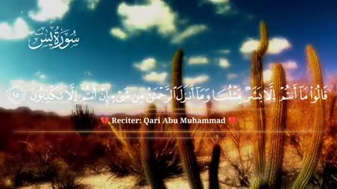 Discover SLEEPY CALMNESS with Soothing Quran Recitation of Surah Yaseen!