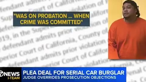 Superior Court judge orders release of serial car burglar after less than 4 months in jail