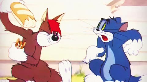 Tom and😼🐭 Jerry ond vid full