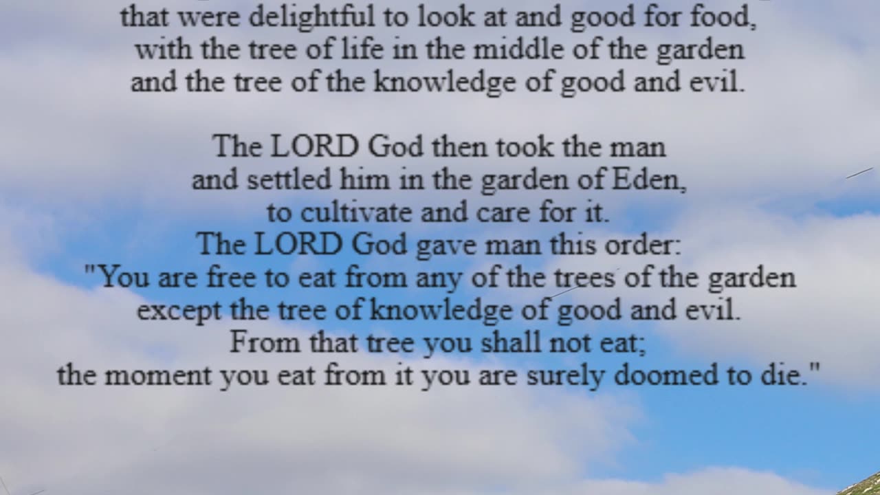 A reading from the book of Genesis, 2:4b-9, 15-17