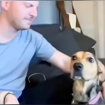 Funny animals friend