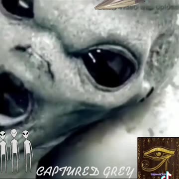 Alien footage