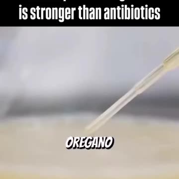 High-school student proves Oregano essential oil kills more bacteria than amoxicillin