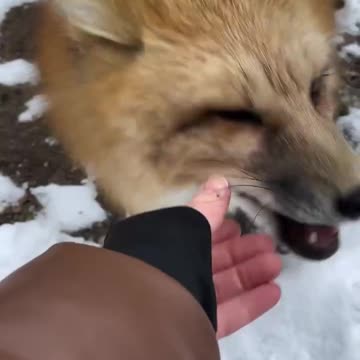 Three is always a crowd 🤣