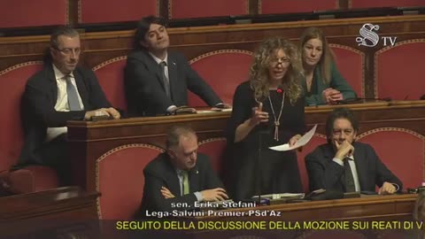 Stefani - Intervento in Senato (12.02.25)