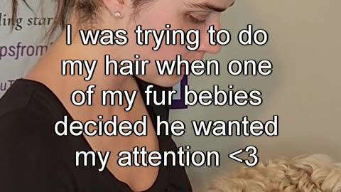 This is Why Dogs Are Angels