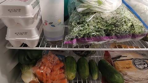 Refrigerator/Freezer vegetarian tour