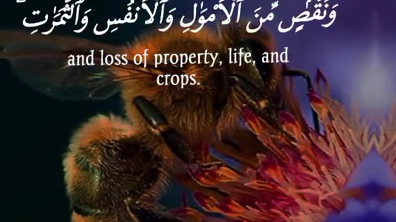 Subahanallah Beshak 💯♥️✨