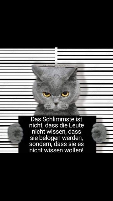 Das Drehbuch ist schon seit längerem geschrieben