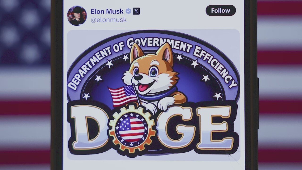 Is DOGE a gift that keeps on giving?