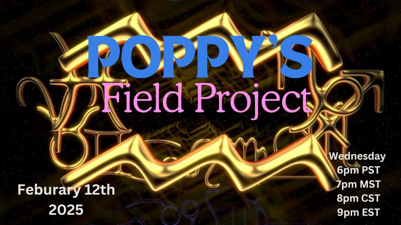 Poppy's Field Project 2/12/25