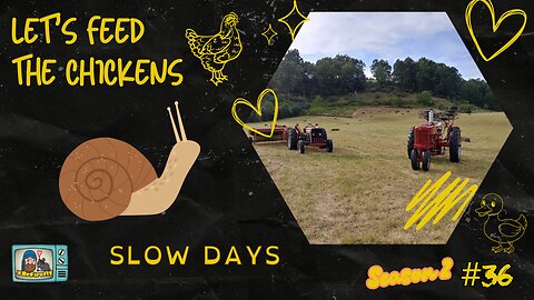 Slow Days | Let's Feed the Chickens | E36