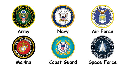 Every US Military Branch in 5 Minutes