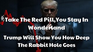 Take The Red Pill,You Stay In Wonderland,Trump Will Show You How Deep The Rabbit Hole Goes