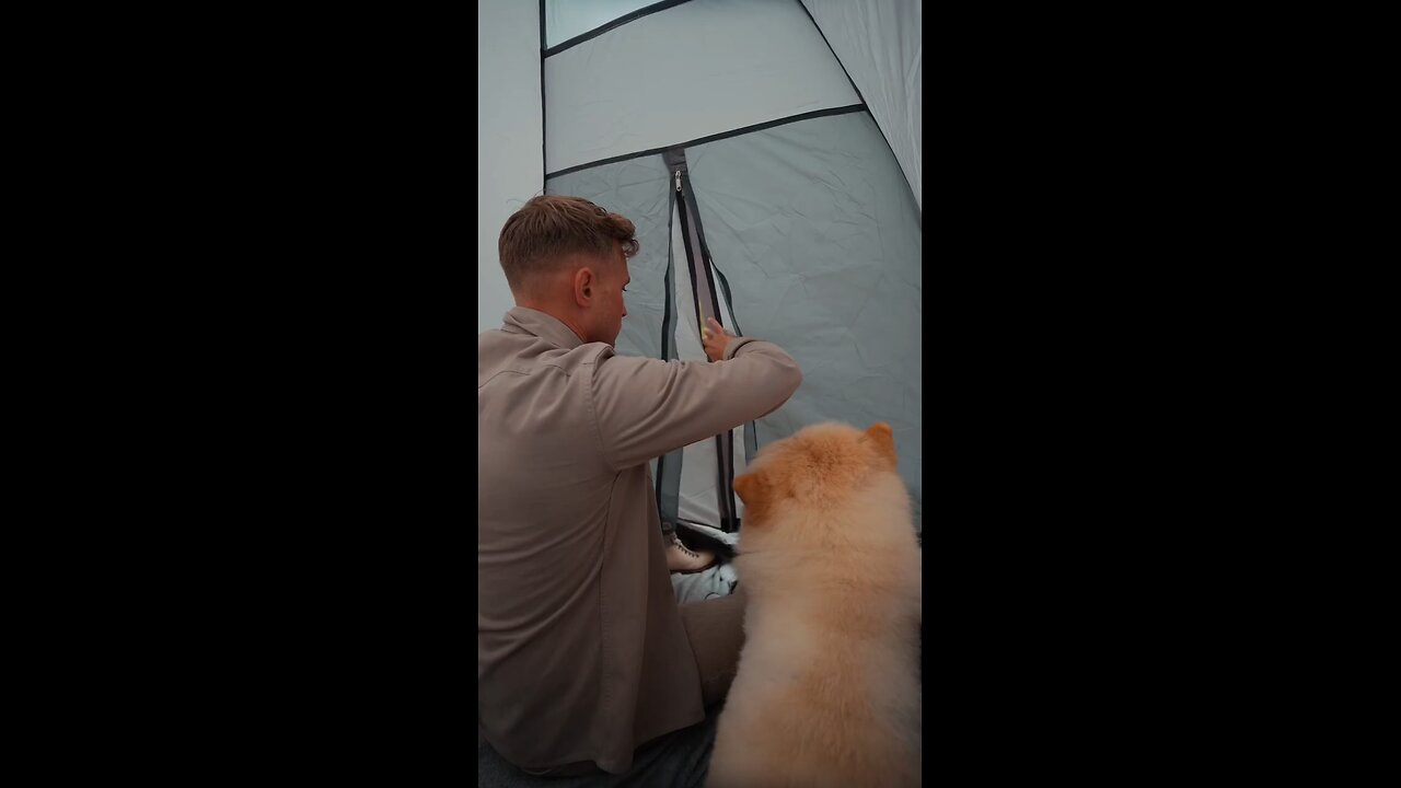 dog❤️