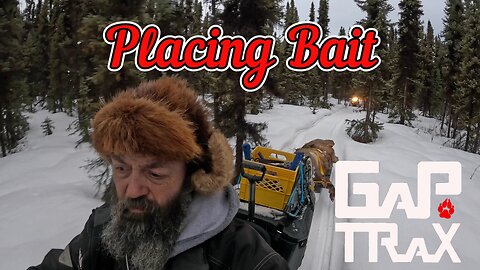 Placing bait.