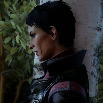 Dragon Age Inquisition - Inquisitor Courting Cassandra