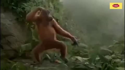 Monkey Dance Funny Video! 😂🦧 You Won’t Believe This Moves!🐒💃