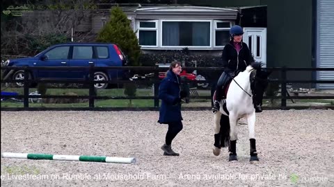 Mousehold Farm All Weather Riding arena