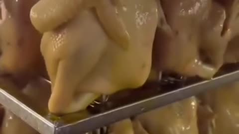 Chicken bulk seasoning factory