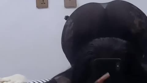 “I’ve never done this before”.