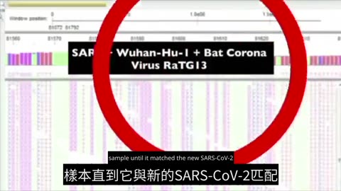 📢生物化學揭穿冠狀病毒的迷思