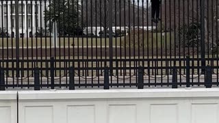 Man arrested by secret service for trying to scale White House fence