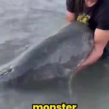 Slingshot Fishing: The Crazy Technique Catching Giant Fish!