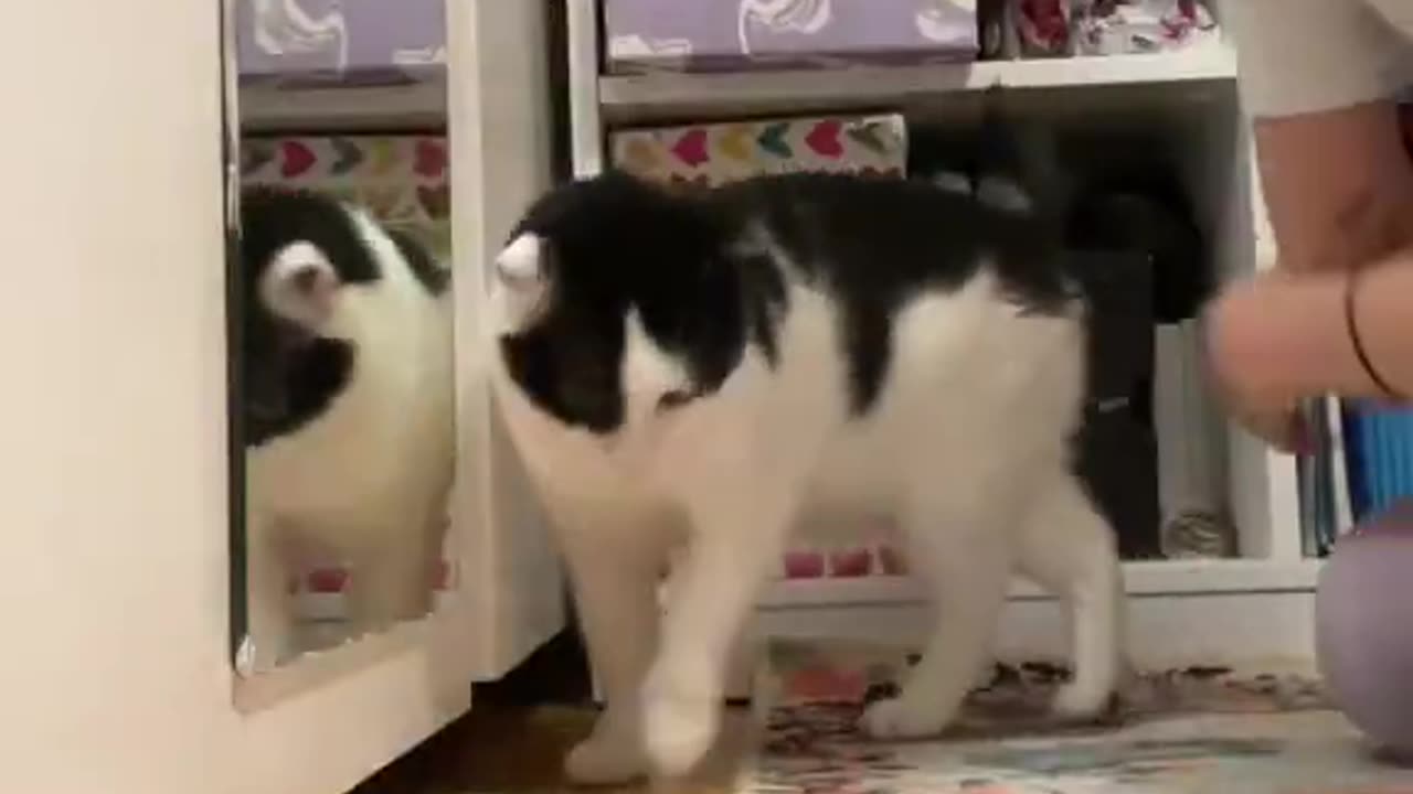 i want problem not solution