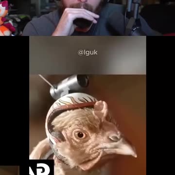 Asmongold Dies Laughing Over This Hilarious Chicken Moment