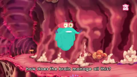 Brain working video