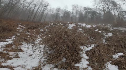 Flock it Farm: Cabin on 45 acres: Matt's vidoe footage