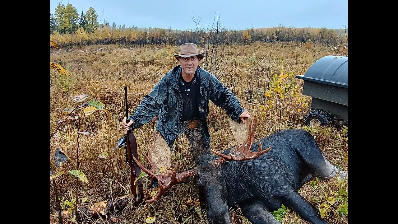Alberta Moose Hunt 2024