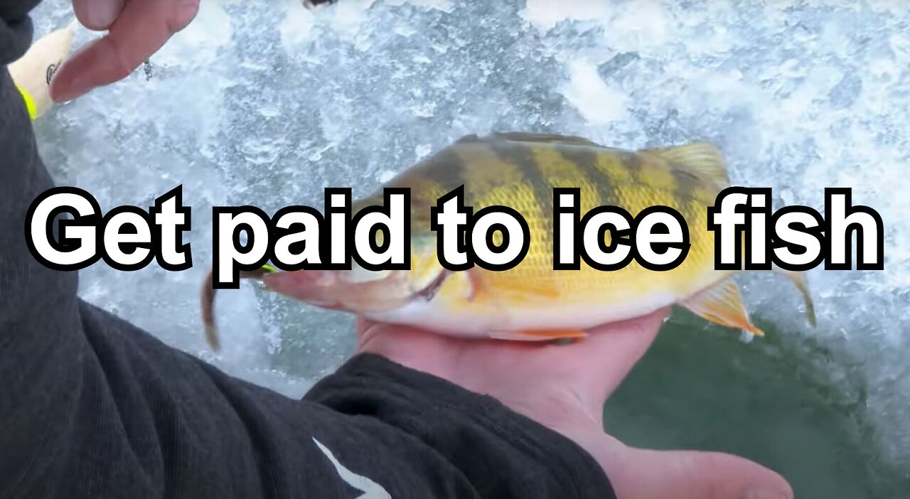 Get paid to ice fish