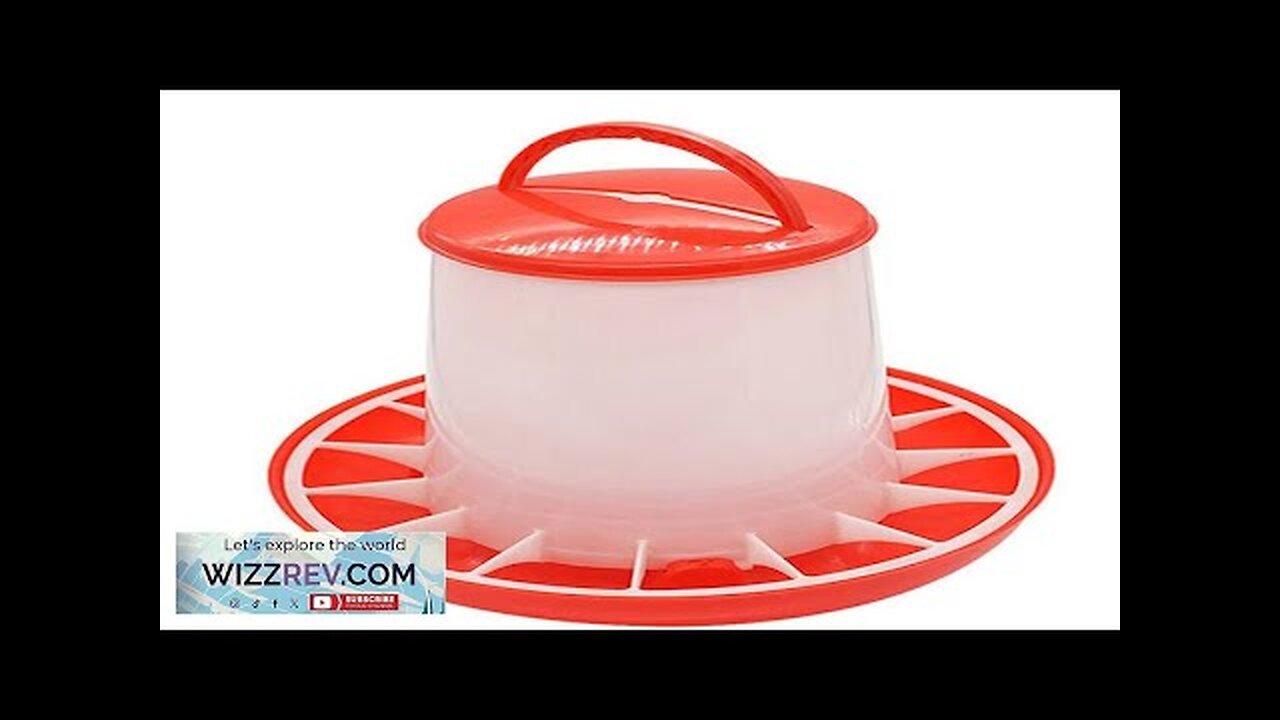 Feeding Bucket With Net Chicken Feed Bucket 1.5kg Organizer Bucket For Chicken Review