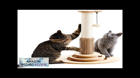 Made4Pets Cat Scratching Post 23" Tall Sisal Cat Scratcher Post with Cat Review