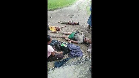 Rohingya genocide: the truth from the ground: An American living in Myanmar