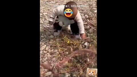 Funny😂 | Funny video + Comedy clip+ Funny 18 #funny #foryou #comedy