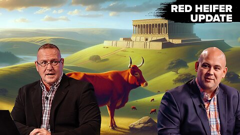 The Latest Red Heifer News