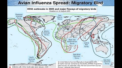 Undeniable Warning, mRNA H5N1 Chimeric Gain of Function, Variant of Concern 2025