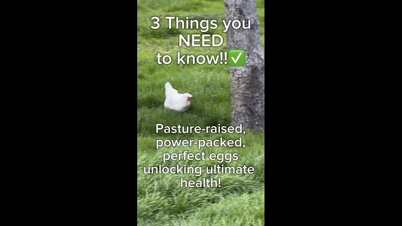 Pasture-raised, power-packed, perfect eggs—unlocking ultimate health! 3 things you need to know!!✅
