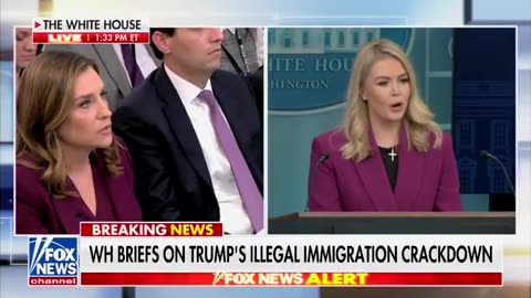 White House Press Secretary SCHOOLS reporter on which illegals are criminals