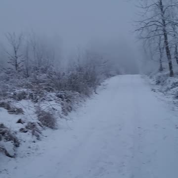 Niemcy i ich upadek.